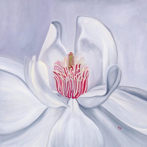 White Magnolia